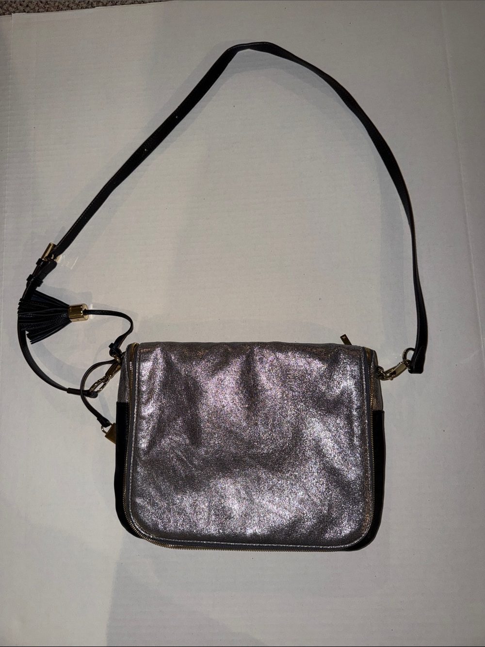 G.I.L.I. Metallic Silver Crossbody with Black Trim and Tassel